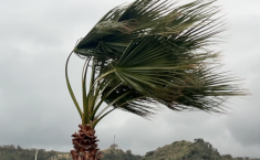 Allerta meteo arancione a Messina: chiuse ville e cimiteri e stop agli eventi all&rsquo;aperto. Scuole aperte