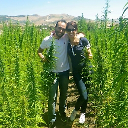 Cannabis medica, azienda siciliana: &laquo;In Italia tanto da fare tra caos normativo e caccia alle streghe di Salvini&raquo;