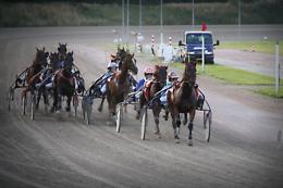 Mafia, scommesse e cavalli: arrestato driver siciliano del trotto