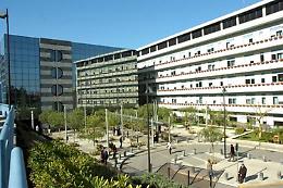 Operai intossicati a Palermo: è stato il botulino