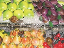 Un lungo, dolce e morbido abbraccio