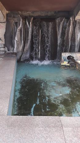 Catania, largo Paisiello in stato di estremo degrado