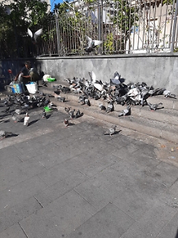 Catania: situazione igienico sanitaria precaria davanti la Chiesa di Cristo Re