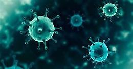 Covid, sequenziato il genoma del virus responsabile dei casi in Sicilia