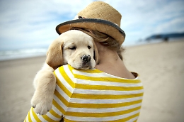 Oltre met&agrave; degli italiani vuole cani e gatti con s&eacute; in vacanza