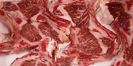 Capretti e agnelli tra polvere e insetti al Capo: 100 chili di carne sequestrati