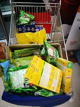 Catania, accordo Leidaa e Lidl: 95 quintali di crocchette per i randagi