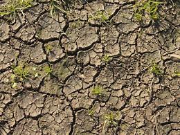 Desertificazione, il 70% della Sicilia è a rischio