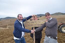 "Patto di filiera" per accorciare distanze tra produttore e panificatore