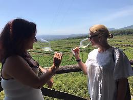 La ViniMilo compie 40 anni e festeggia con edizione anti-covid