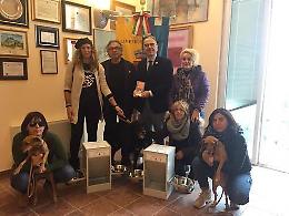 Randagismo: anche d'inverno i cani di Lampedusa non sono soli