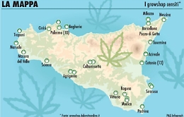 La Cassazione sdogana la cannabis light
ma in Sicilia il business &egrave; gi&agrave; una realt&agrave;