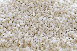 Escrementi di topi e piume d'uccello in silos di riso nel Torinese