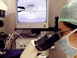 Catania, la fecondazione assistita all’anno zero