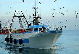 Musumeci presenta un ddl per tutelare la pesca  e i prodotti ittici siciliani