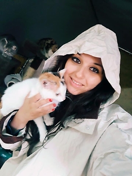 Accudisce i tanti gatti randagi ad Agrigento, adesso chiede un aiuto