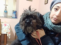 Cagnolina veglia per due giorni la padrona morta