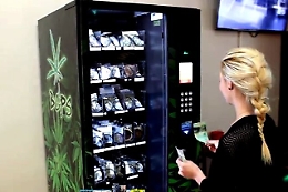 &laquo;Stop alla vendita di cannabis light&raquo;, ma il ministro Giulia Grillo aspetta il parere dell'Avvocatura