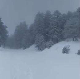 Meteo Sicilia, guarda come nevica!