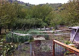 Catania, condannato a 17 anni per omicidio volontario