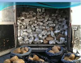 Catania, rione San Giorgio come Scampia Spaccio all'ombra dei clan mafiosi