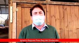 &laquo;Sanificazione della sabbia e box in plexiglass? Follie&raquo;. Ma i gestori dei lidi sono pronti a nuove misure