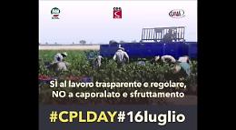 L'allarme dei sindacati per gli operai agricoli