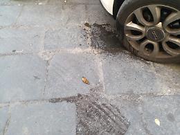 Catania: Via Naumachia è diventata un letamaio