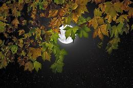 Torna la Notte della Luna, tutti pronti ad ammirarla