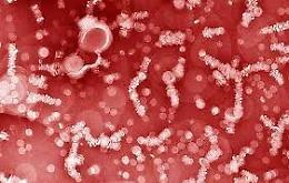 Nanoparticelle per curare la leucemia: la terapia sperimentata in Cina