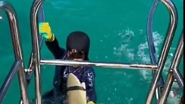 Paura in Australia, bambino morso da uno squalo mentre cercava di risalire in barca