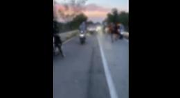 Corsa di cavalli sull'Etna: sulle tracce dei fantini, degli organizzatori e di chi ha messo il video in rete