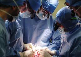 Nefrologa siciliana morta a Milano dona gli organi, Volo: «Gesto generoso sia da esempio»