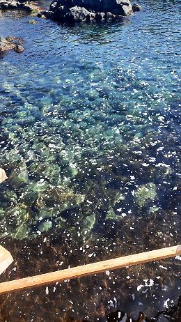 Acireale: mare inquinato a Stazzo