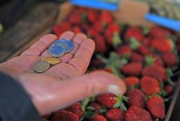 Accordo per bloccare i prezzi fino a fine anno: come funziona