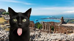 La leggenda di Micio, il gatto nero di Taormina protettore della città 
