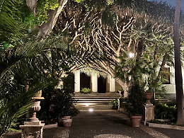 Bella di notte: visite serali tra piante e profumi all'Orto Botanico di Catania