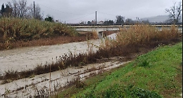 Maltempo, in Emilia Romagna la notte delle sirene: evacuazioni nel Ravennate e allerta fiumi estesa tra Bologna e Ferrara