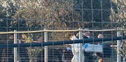 Omicidio a Partinico, l'allevatore ucciso da una sola arma