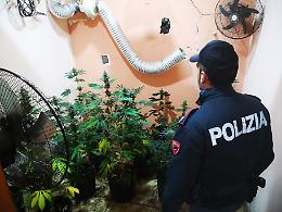 Adrano, la serra nascosta nel cuore della citt&agrave;: arrestato 61enne per coltivazione indoor di marijuana