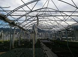 Stangata sui costi agricoli: plastica e forniture alle stelle