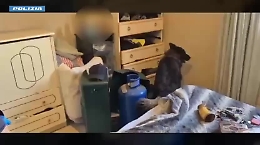 Stretta contro spacciatori e titolari di cannabis shop tra Catania e provincia: quattro arresti e tre denunce