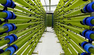 A Catania le aziende di oggi che scrivono il domani: dalle alghe per gli integratori al robot che raccoglie arance, pere e kiwi