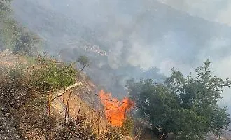 Notte di inferno in contrada Portella Vigna: fiamme minacciano case a Castelmola, Mongiuffi e Melia