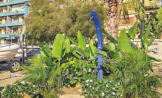 Verde e piante ornamentali per le spiagge Bandiera Blu