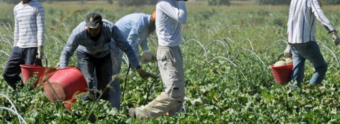 Migranti nei campi, generico