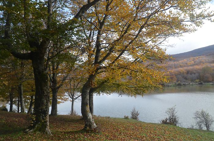 Dalla cucina ai vigneti: perché la Sicilia è la meta enogastronomica più ambita del 2025