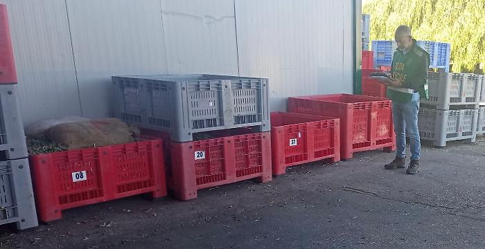 Controlli nei frantoi: la Polizia Provinciale di Siracusa intensifica le verifiche sulla filiera olearia