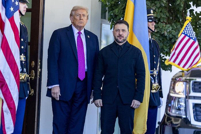 Il Donbass, la Crimea, l'Ue e la Nato: cosa c'è nel Piano di pace Usa (che piace solo a Putin) 