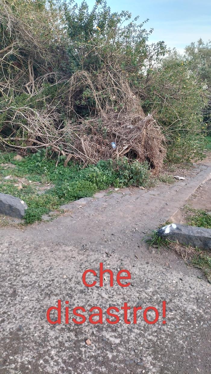 Catania. Parco Gioeni riaperto dopo un anno di lavori: tra aspettative deluse e problemi irrisolti